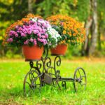 décoration de jardin originale